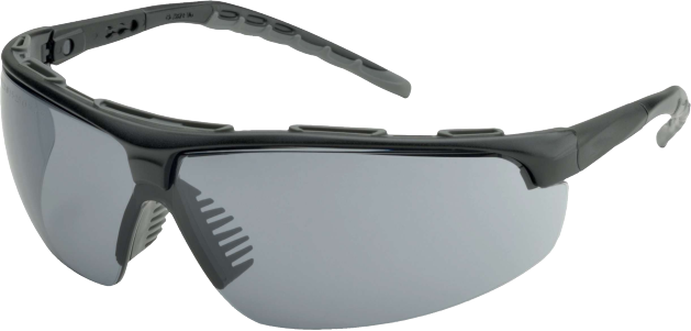 Delta Plus WELSG56GAF Denali Grey Anti-Fog Lens