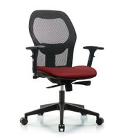 Blue Ridge Ergonomics EXE-VMDHCH-RG-H0-A0-RG-8809 Executive Windova Mesh Back Chair with Taupe Supernova™ Seat and Stationary Glides