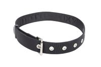 DBI-SALA® 1500113 Python Utility Belt - Small-Large 28 In - 46 In