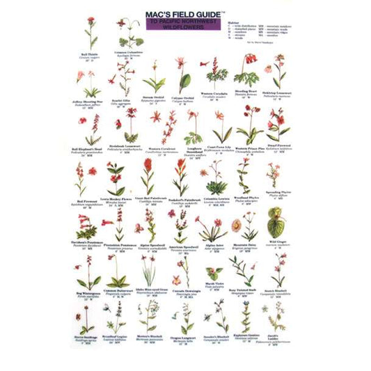 Paradise Clay MAC015 Pacific Northwest Wildflowers - Laminated Card