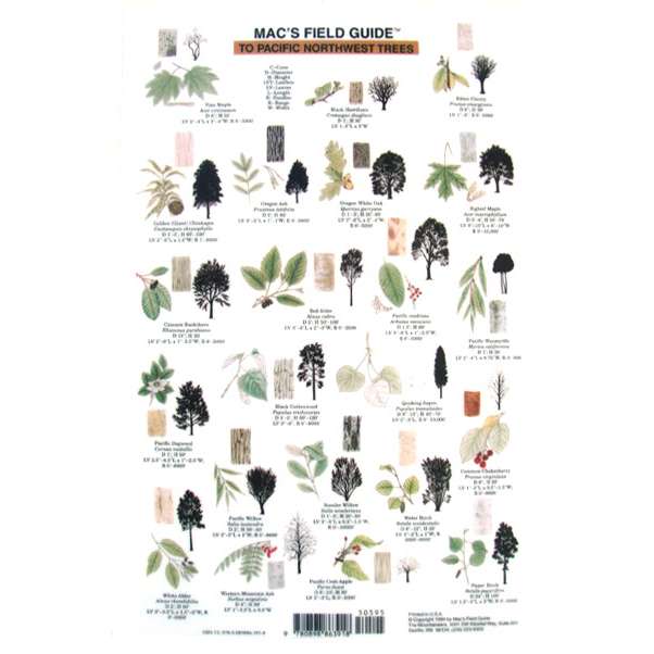 Paradise Clay MAC018 Northwest Trees - Laminated Card
