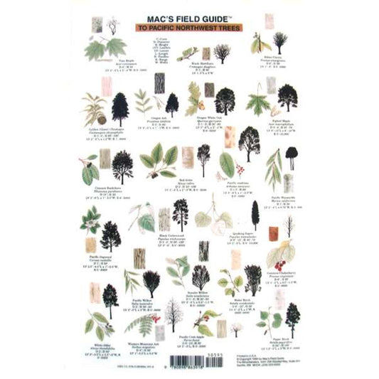 Paradise Clay MAC018 Northwest Trees - Laminated Card