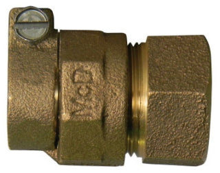 A.Y. McDonald 5121-002 74754-22 1X3/4 Adapter Cts X Fnpt-Nl