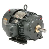 U.S. Motors DV96 CE,100 HP,4P,405T 60,575 V 100 HP, 1785 RPM, 8P100P2GB, 575 V, 60 HZ, 405T