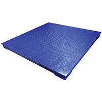 Adam Equipment PT 312-10 PT Platforms
