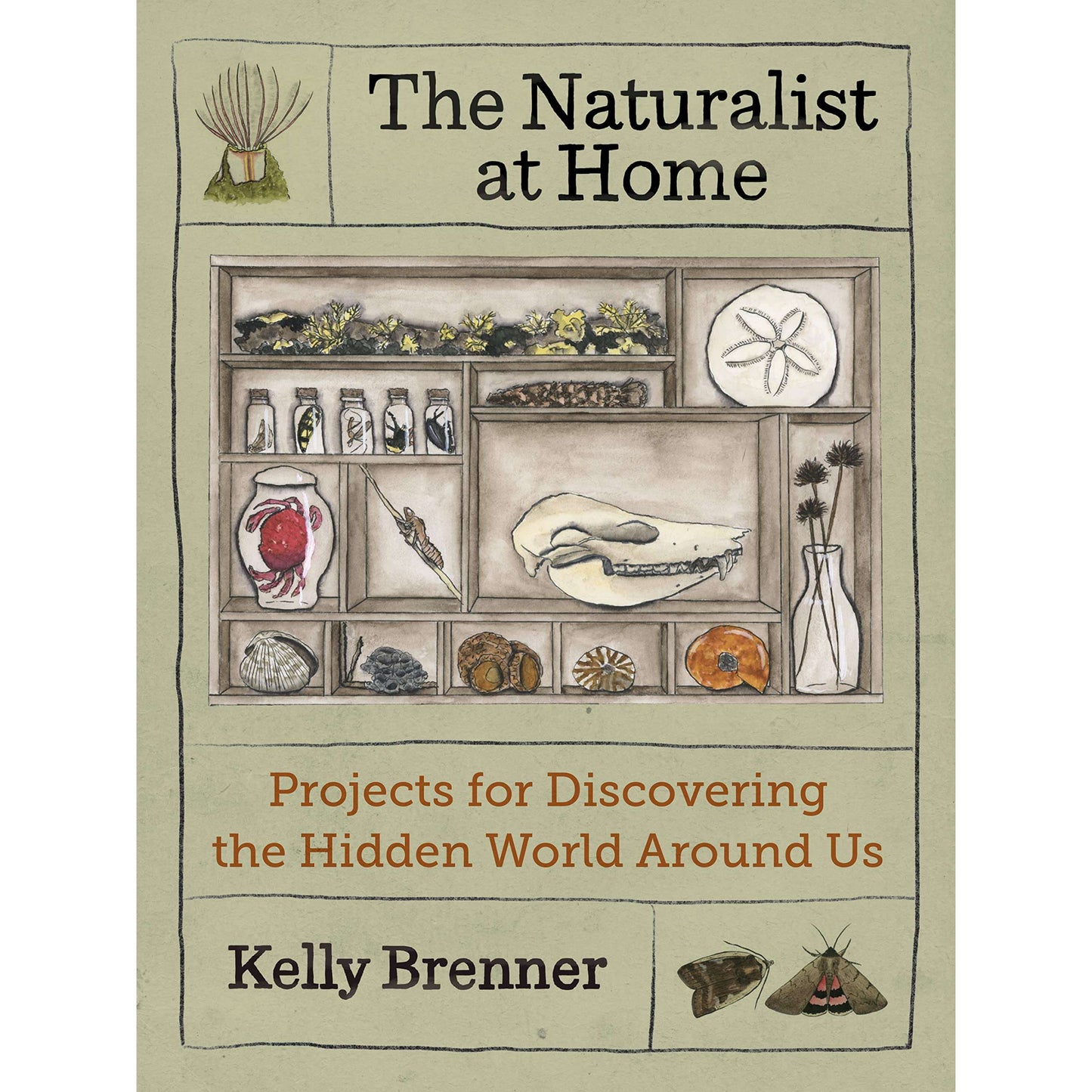 Paradise Clay MOU138 The Naturalist at Home: Projects for Discovering the Hidden World Around Us - Book