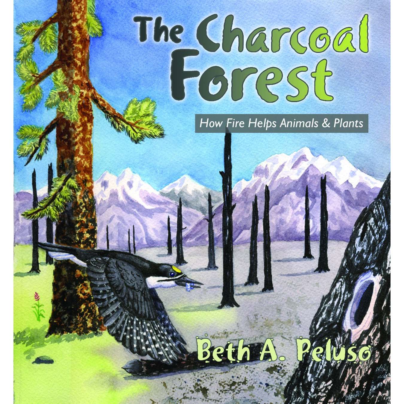 Paradise Clay MPP021 The Charcoal Forest: How Fire Helps Animals and Plants - Book