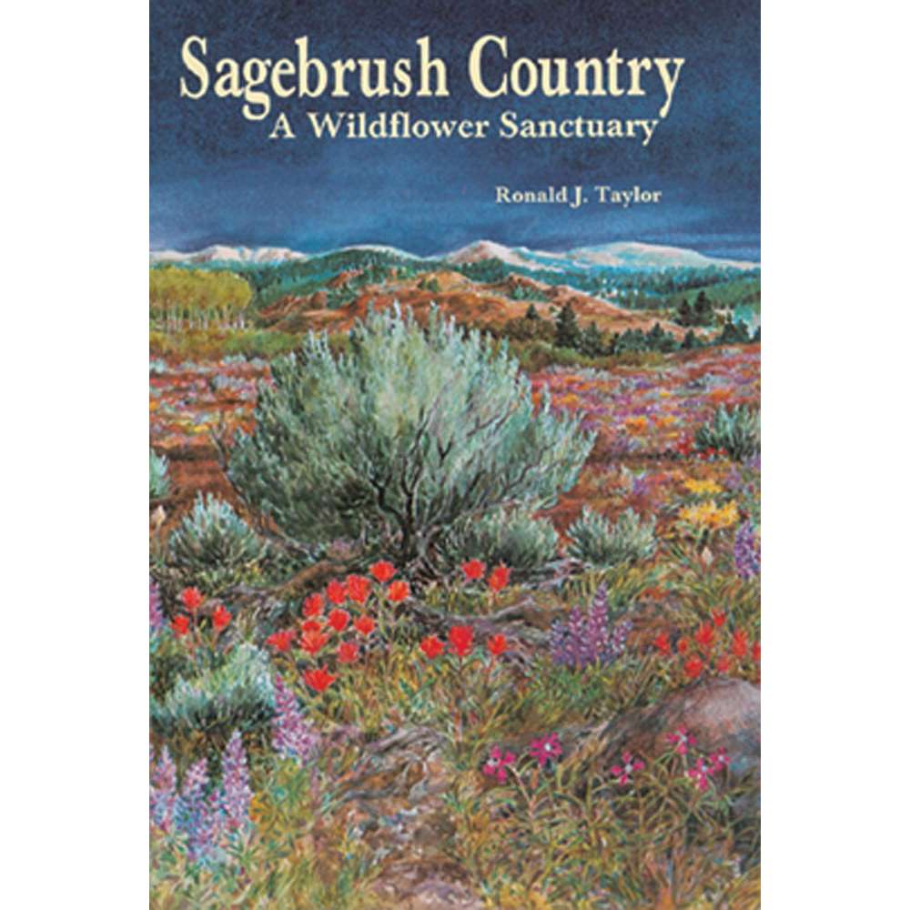 Paradise Clay MPP031 Sagebrush Country: A Wildflower Sanctuary - Book