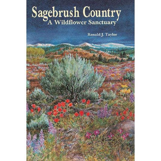 Paradise Clay MPP031 Sagebrush Country: A Wildflower Sanctuary - Book