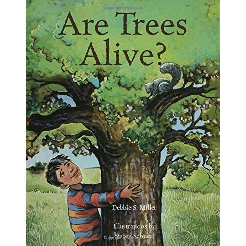 Paradise Clay MPS143 Are Trees Alive? - Book