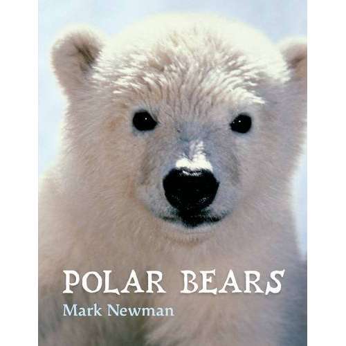 Paradise Clay MPS148 Polar Bears - Book
