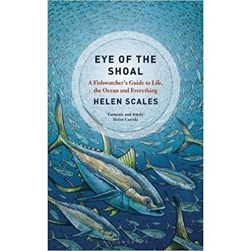 Paradise Clay MPS261 Eye of the Shoal: A Fishwatcher's Guide to Life, the Ocean and Everything - Paperback Book