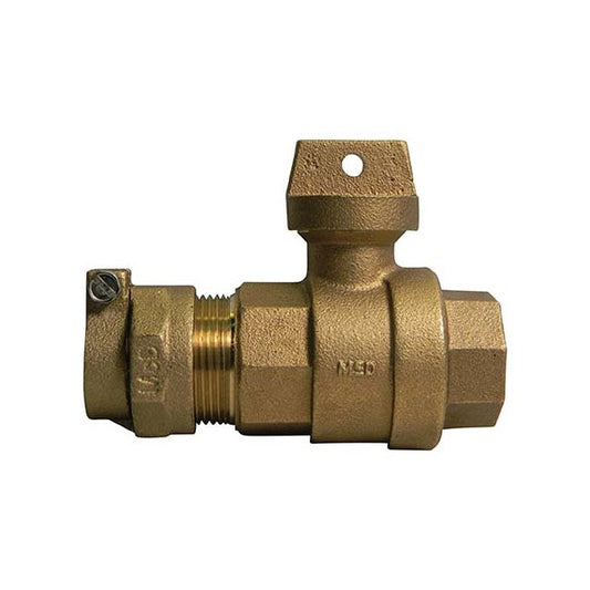 A.Y. McDonald 5132-197 76102-44 2 Ball Curb Pvc X Fnpt - Nl