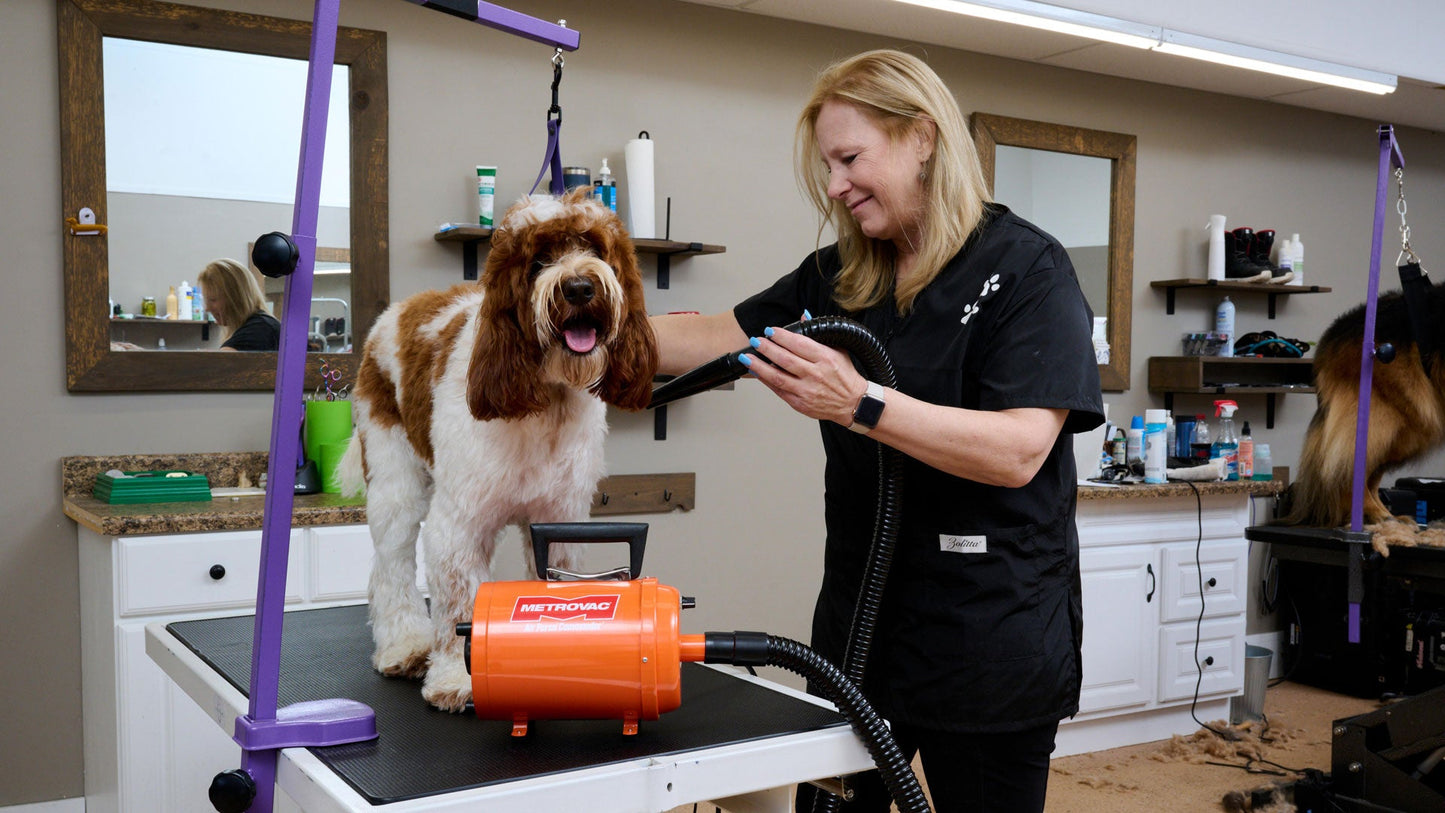 Metrovac 114I-579045 Air Force Commander Variable Speed Dryer - Orange 220V / Aus