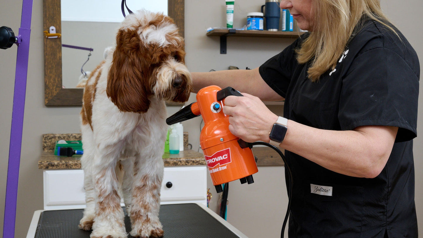 Metrovac 114I-582212 Quick Draw Compact Pet Dryer Variable Speed 220V / Euro