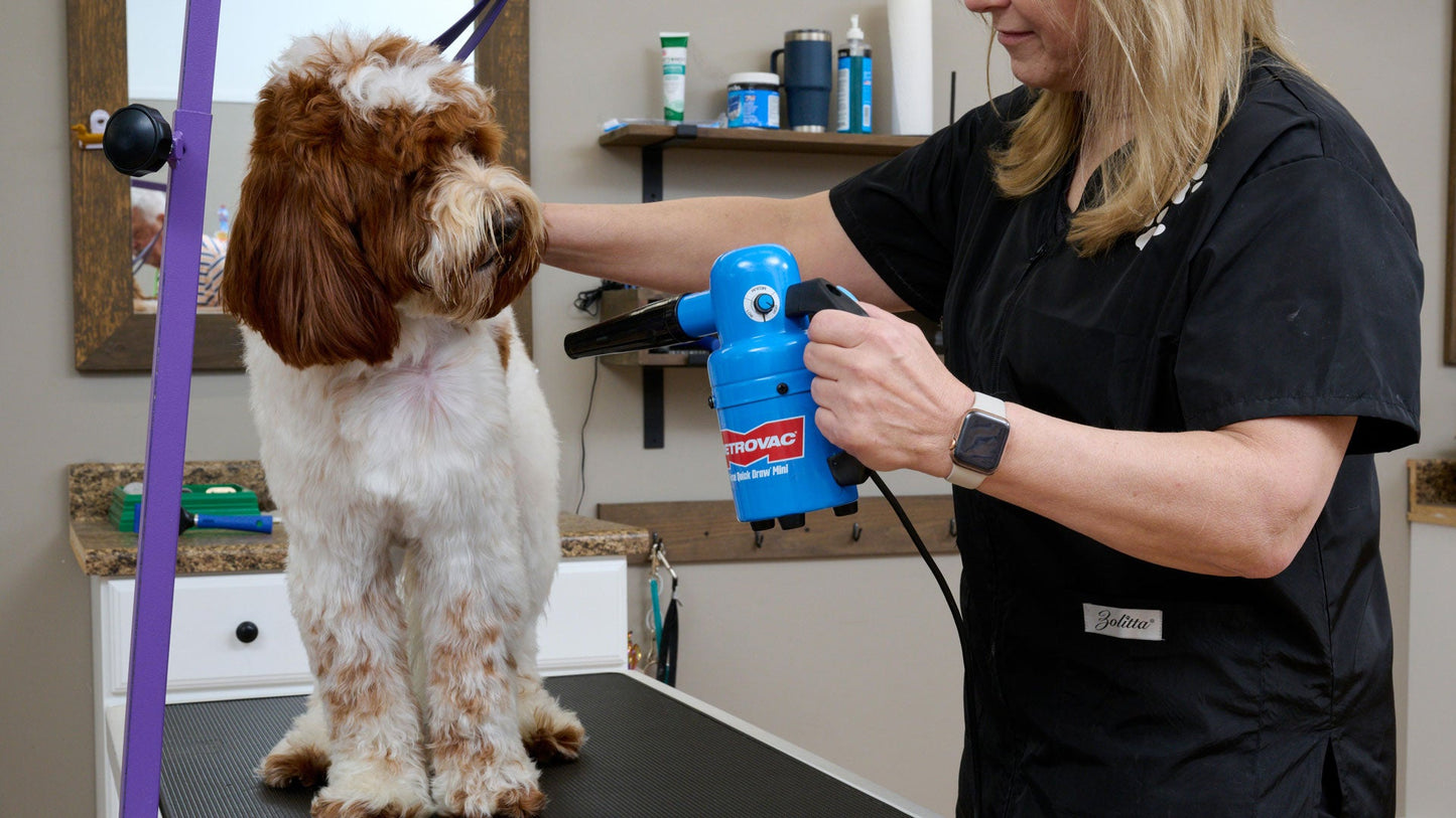 Metrovac 114I-582243 Quick Draw Compact Pet Dryer Mini Variable Speed 220V / Euro