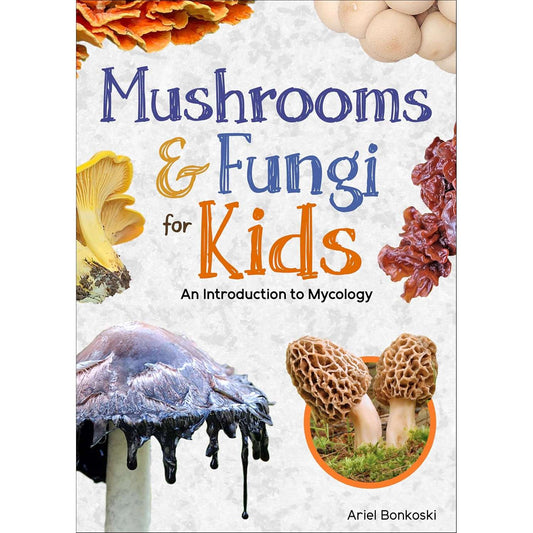Paradise Clay AVK162 Mushrooms & Fungi for Kids: An Introduction to Mycology - Book