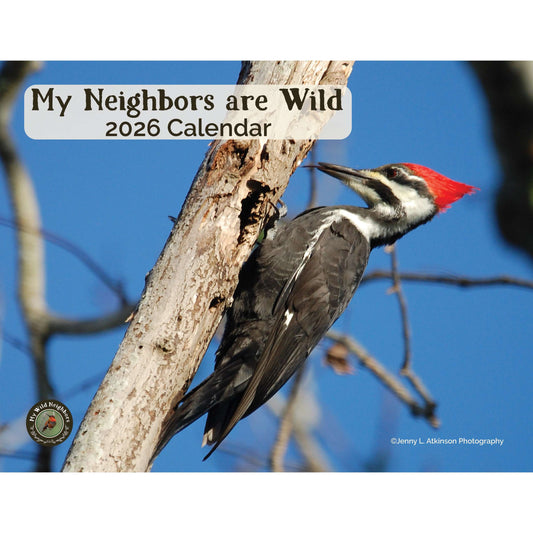 Paradise Clay MWN026 My Neighbors are Wild 2026 Wall Calendar
