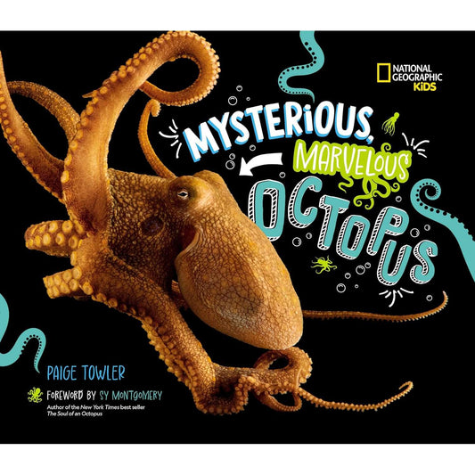 Paradise Clay PGN490 Mysterious, Marvelous Octopus! - Book