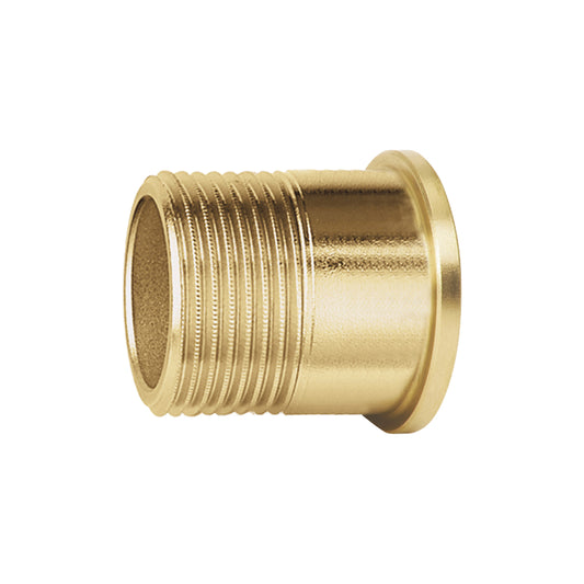 Caleffi 41372A 2" MNPT Fitting for 5231 Series