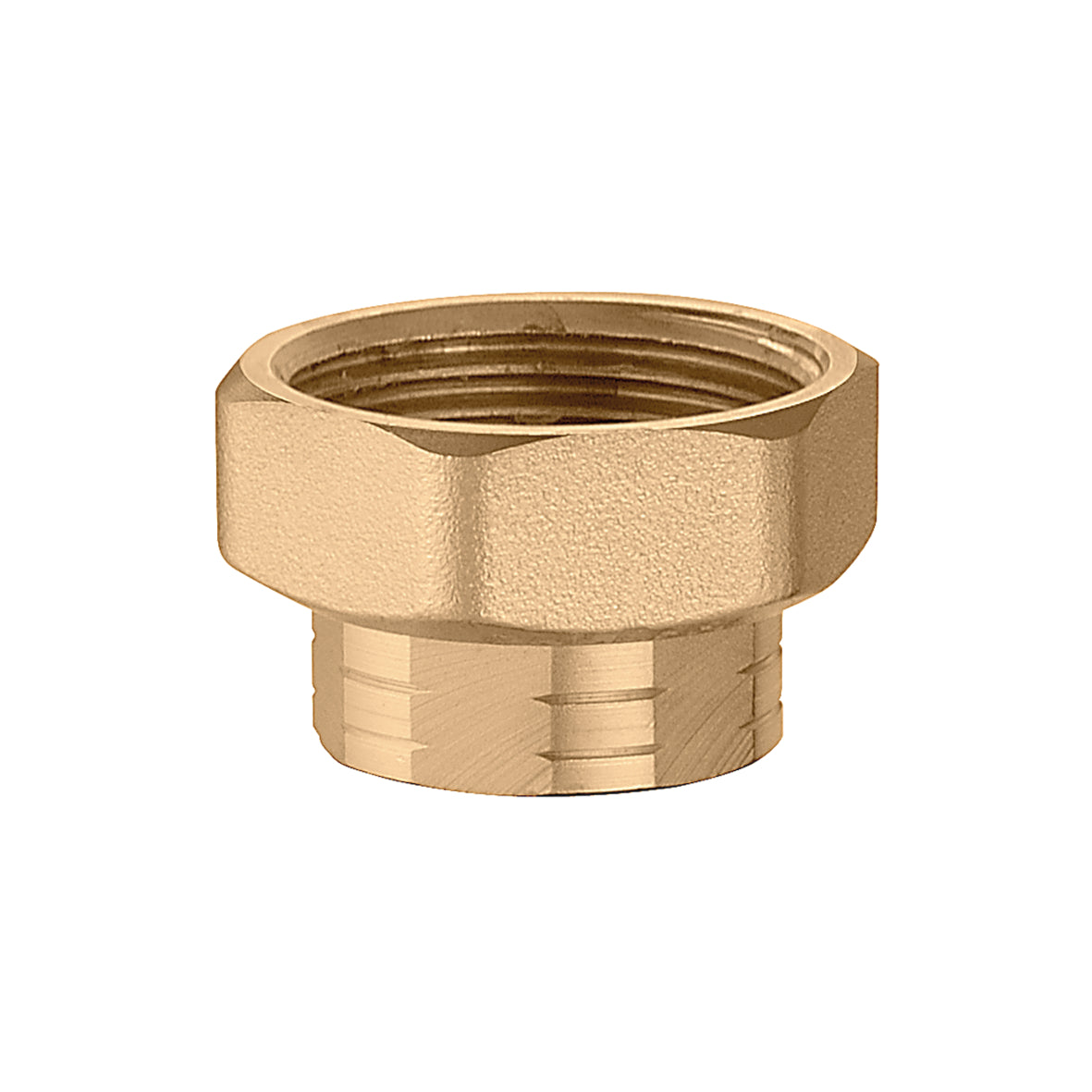 Caleffi NA16160 Inlet Nut & Tailpiece Kit 1" NPT