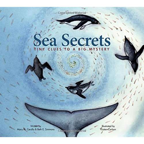 Paradise Clay NBN006 Sea Secrets: Tiny Clues to a Big Mystery - Book