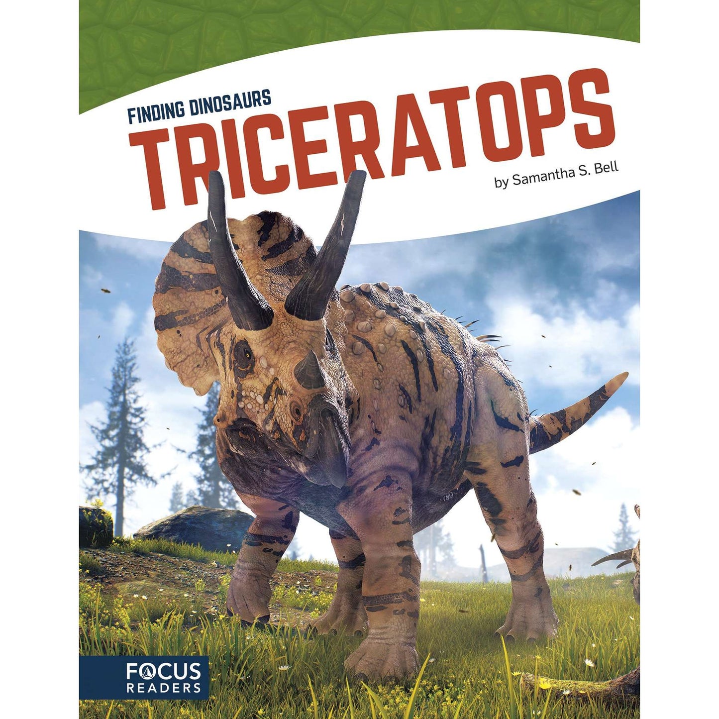 Paradise Clay NOR008 Triceratops - Book