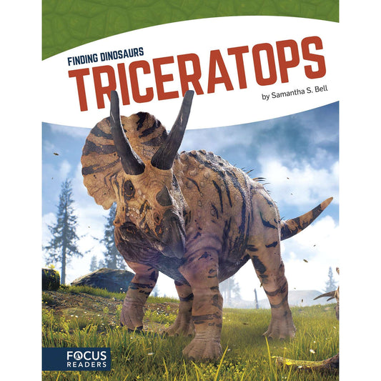 Paradise Clay NOR008 Triceratops - Book