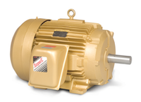 Baldor ECTM4314T 60HP, 1780RPM, 3PH, 60HZ, 364T, 1462M, TEAO, F1