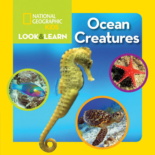 Paradise Clay PGN458 National Geographic Kids Look and Learn: Ocean Creatures - Book