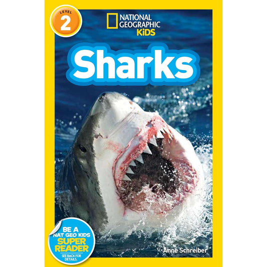 Paradise Clay PGN466 National Geographic Readers Level 2: Sharks - Book