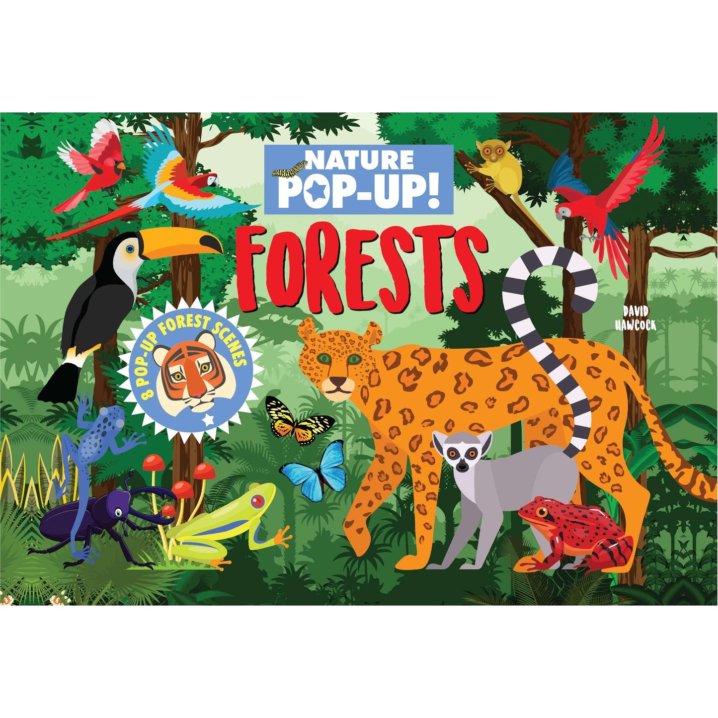 Paradise Clay FCP141 Nature Pop-Up! Forests: 8 Pop-up Forest - Book