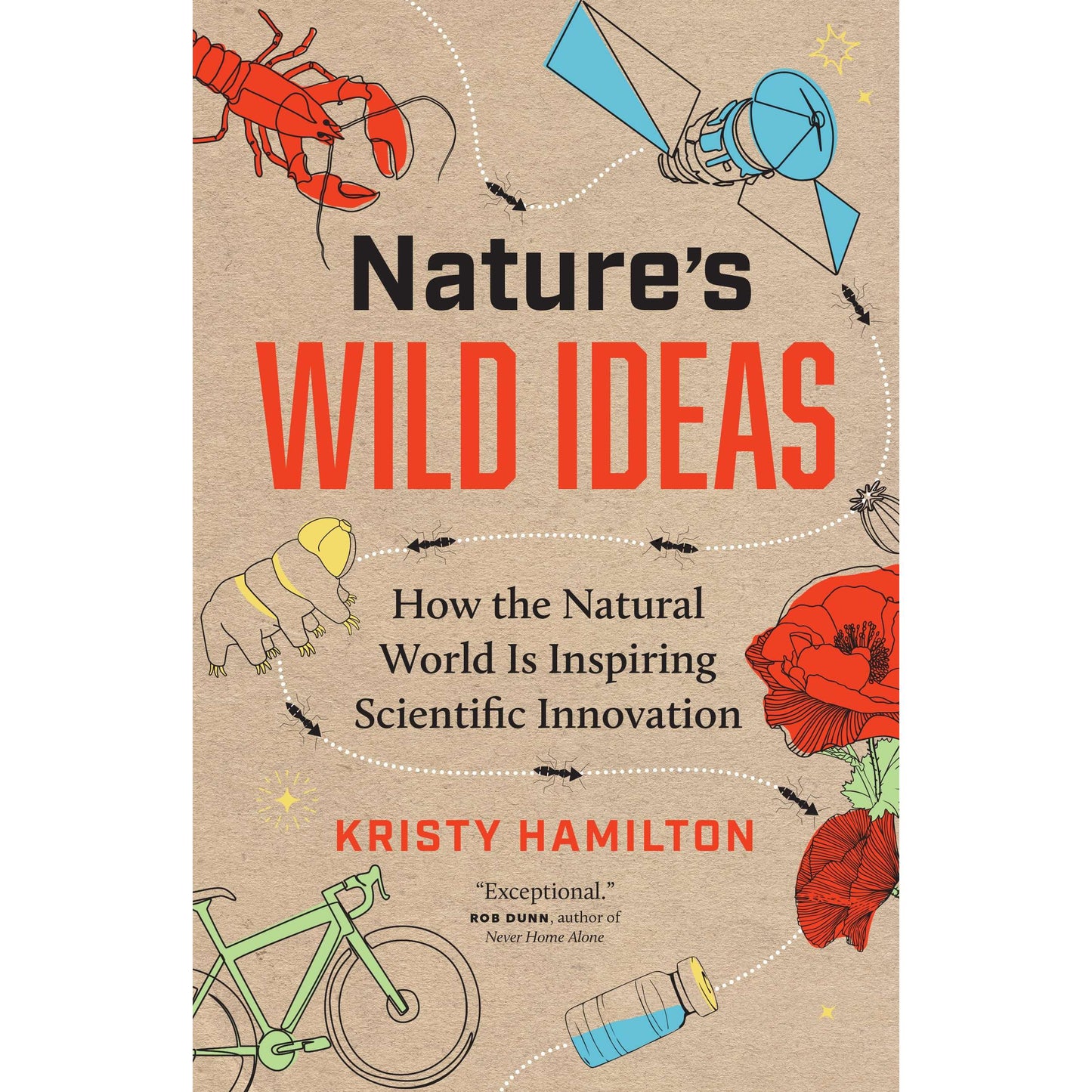 Paradise Clay IPS312 Nature's Wild Ideas - Book