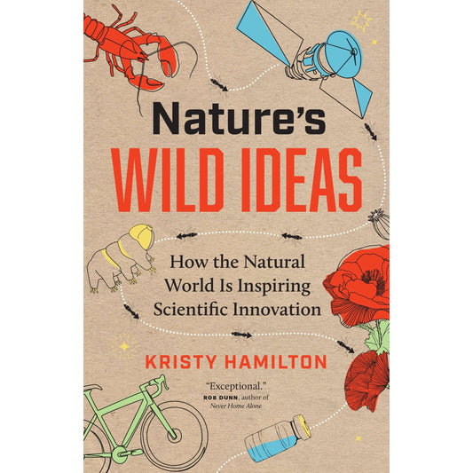 Paradise Clay IPS312 Nature's Wild Ideas - Book