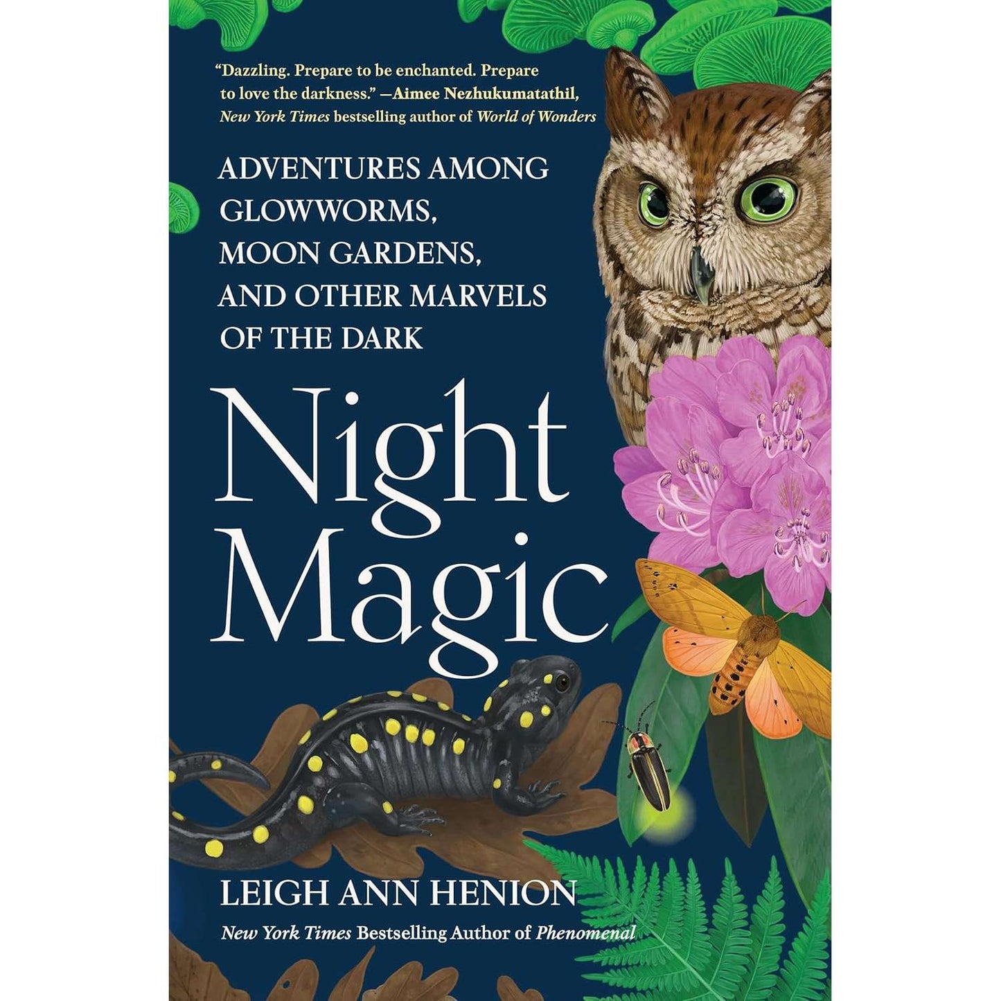 Paradise Clay HCT099 Night Magic: Adventures Among Glowworms, Moon Gardens, and Other - Book