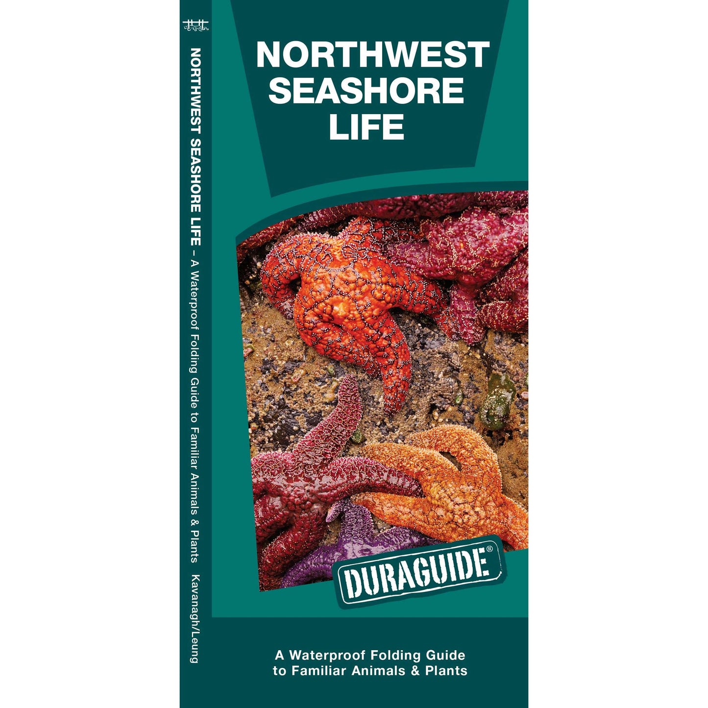Paradise Clay WFP186 Northwestern Seashore Life - Folding Pocket Guide