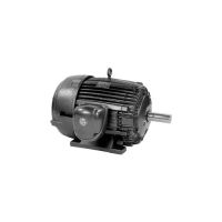 U.S. Motors DF57 TCE,2 HP,8P,213T 60,230/460 V 2 HP, 865 RPM, C2P4B, 230/460 V, 60 HZ, 213T