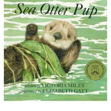 Paradise Clay OBP030 Sea Otter Pup - Board Book