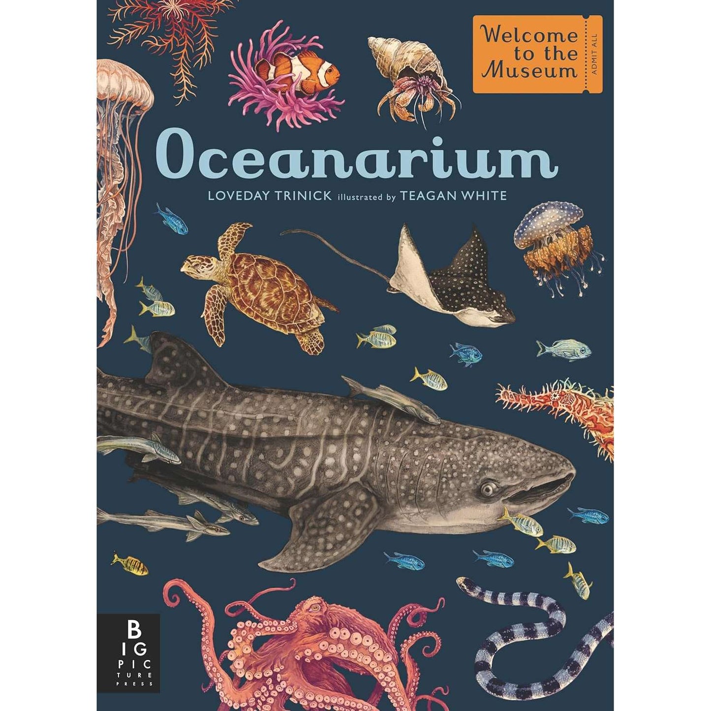 Paradise Clay PGN480 Oceanarium: Welcome to the Museum - Book
