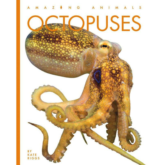 Paradise Clay HCB141 Octopuses - Book