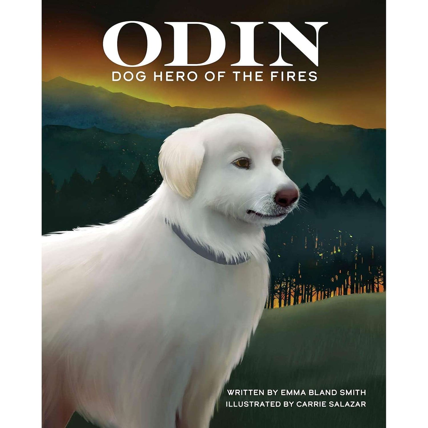 Paradise Clay IPS313 Odin, Dog Hero of the Fires - Book