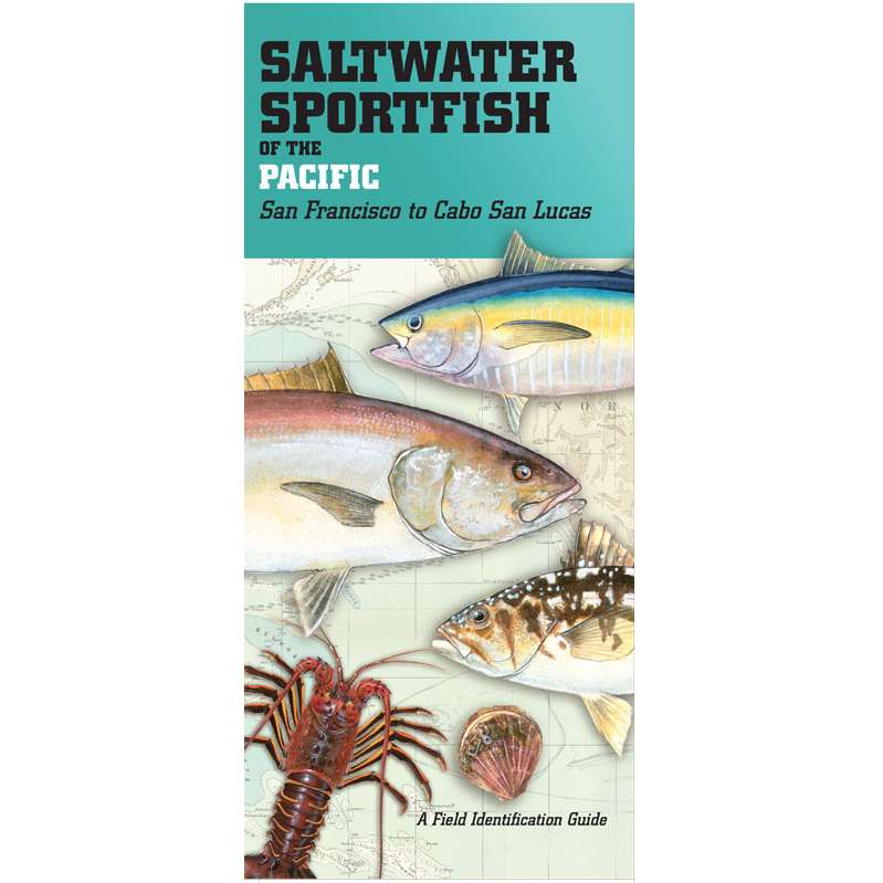 Paradise Clay PAR089 Saltwater Sport Fish of the Pacific: San Francisco to Cabo San Lucas FIELD GUIDE - Folding Pocket Guide