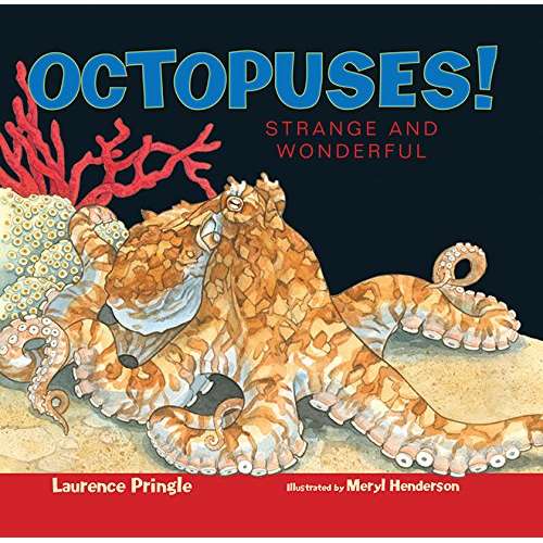 Paradise Clay PER075 Octopuses!: Strange and Wonderful - Book