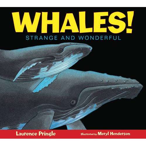 Paradise Clay PER144 Whales!: Strange and Wonderful - Book