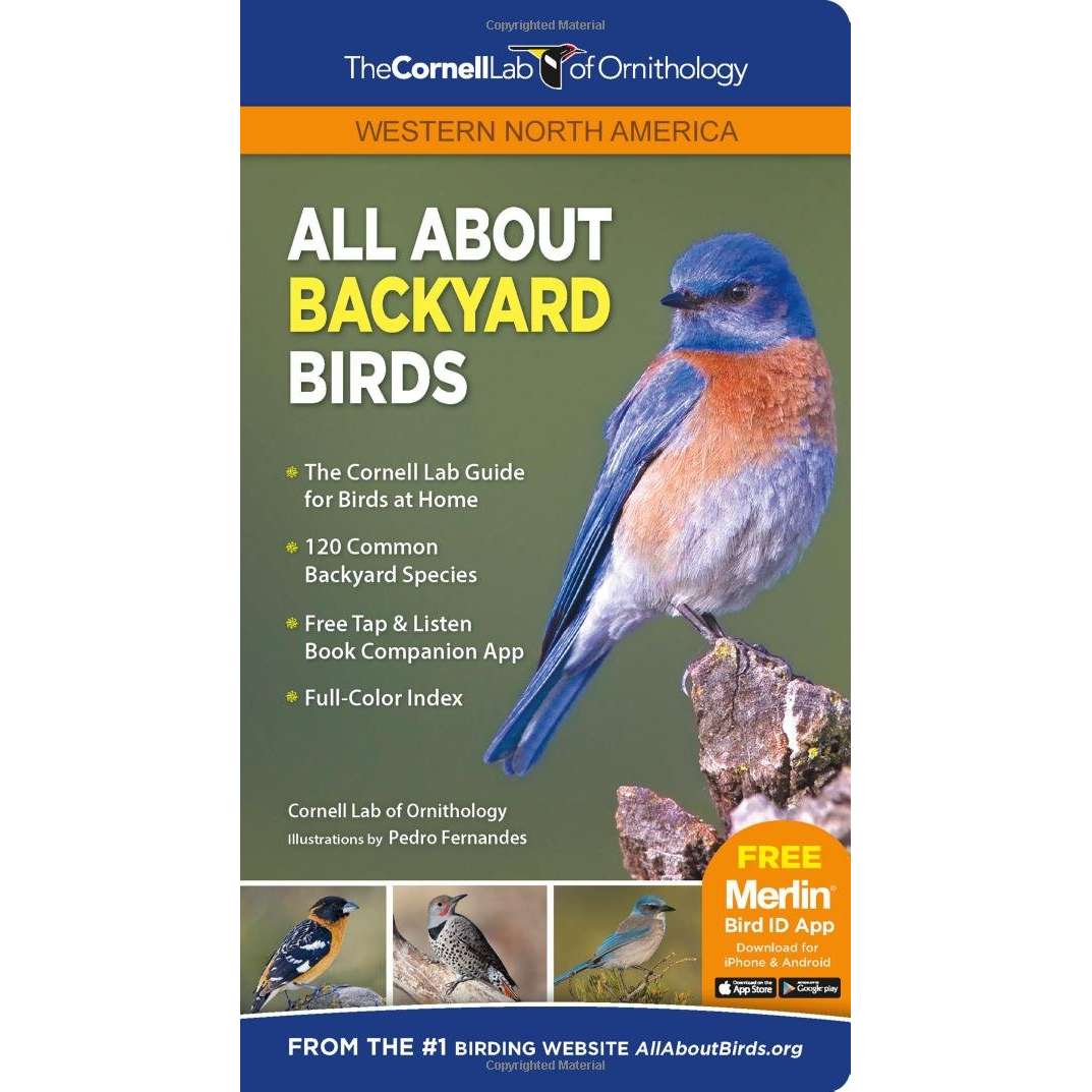 Paradise Clay PER177 All About Backyard Birds: Western North America - Book