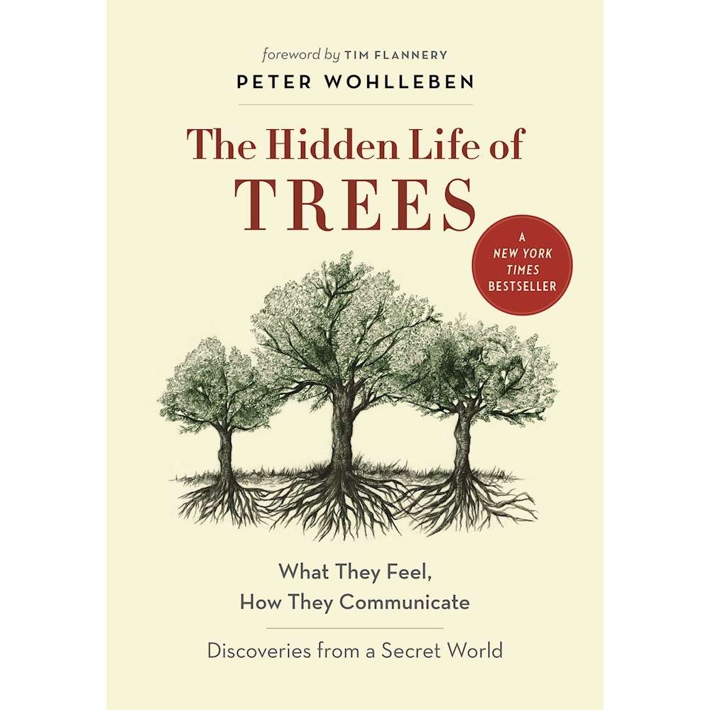 Paradise Clay PER208 The Hidden Life of Trees: What They Feel, How They Communicate—Discoveries from a Secret World - Book