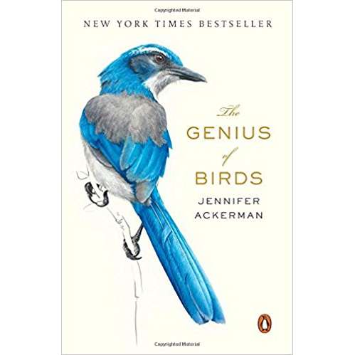 Paradise Clay PGN233 The Genius of Birds - Book