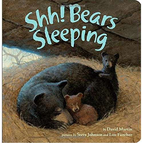 Paradise Clay PGN266 Shh! Bears Sleeping - Book