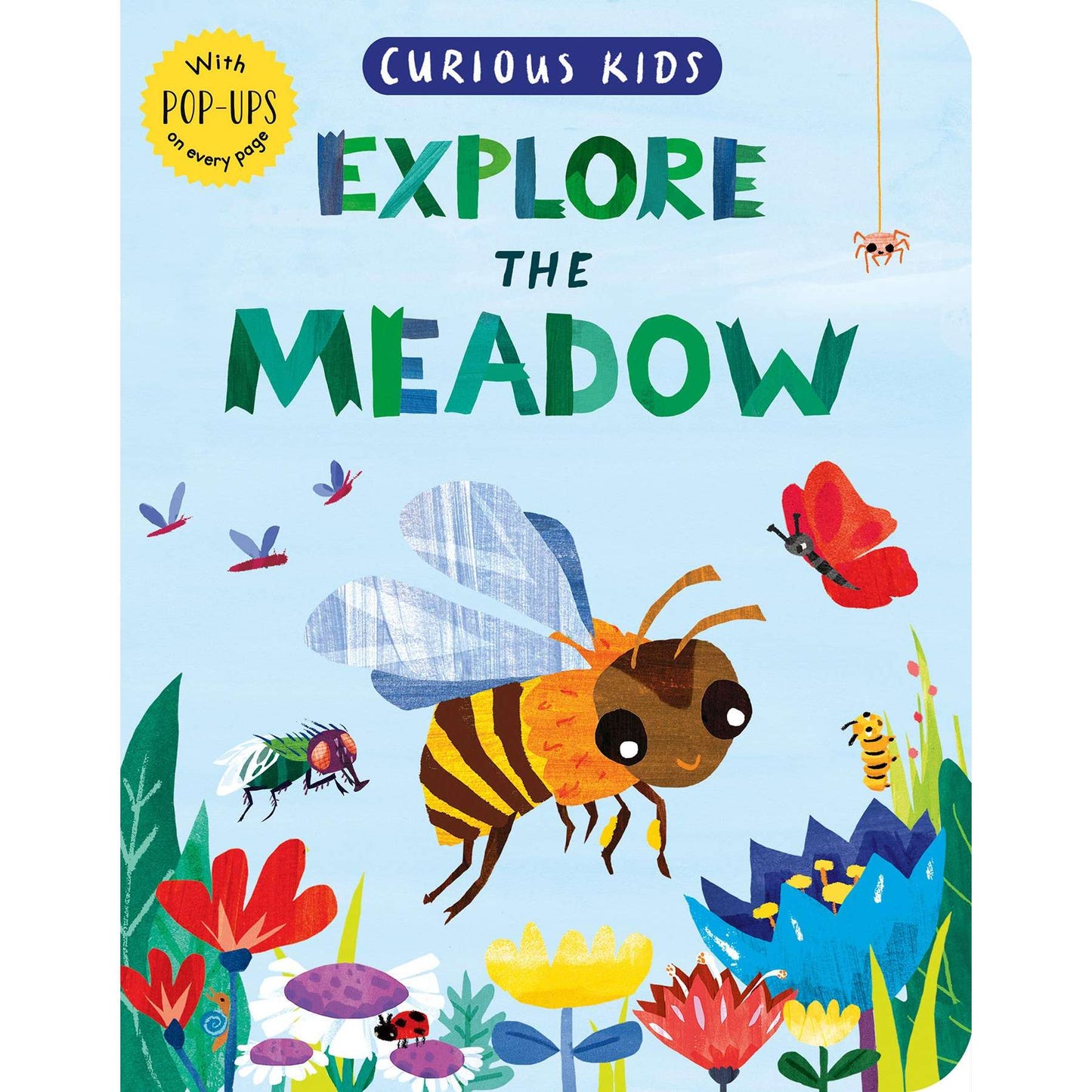 Paradise Clay PGN334 Curious Kids: Explore the Meadow - Book