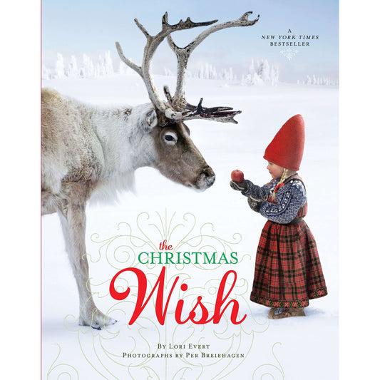 Paradise Clay PGN389 The Christmas Wish - Book
